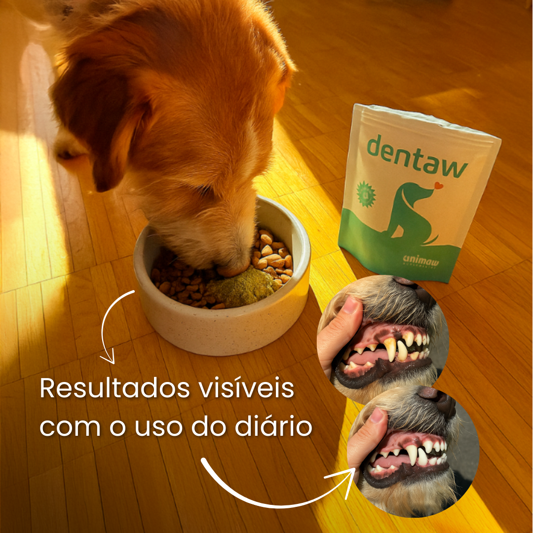 Suplemento Dentaw